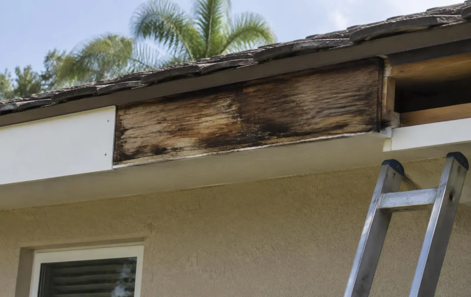 Rotted wood fascia board being replaced with new white fascia on a stucco home