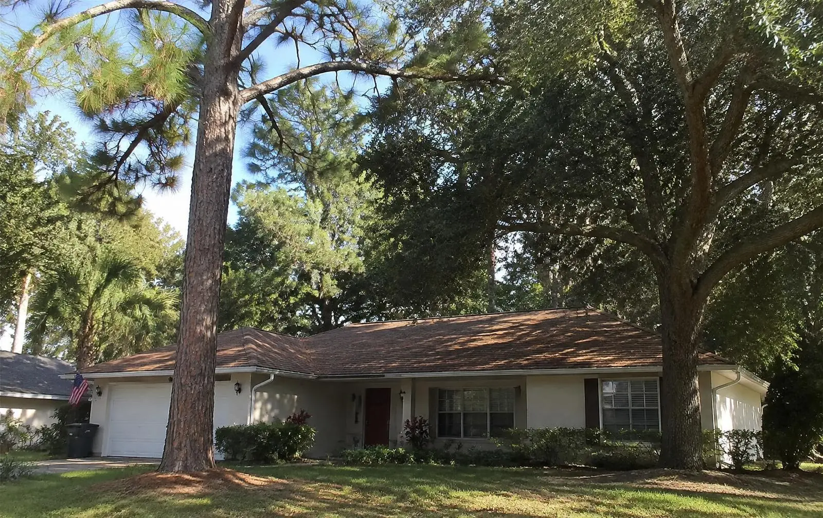 Slash pine and live oak shading a Florida home, where gutter guards help with leaf and needle debris